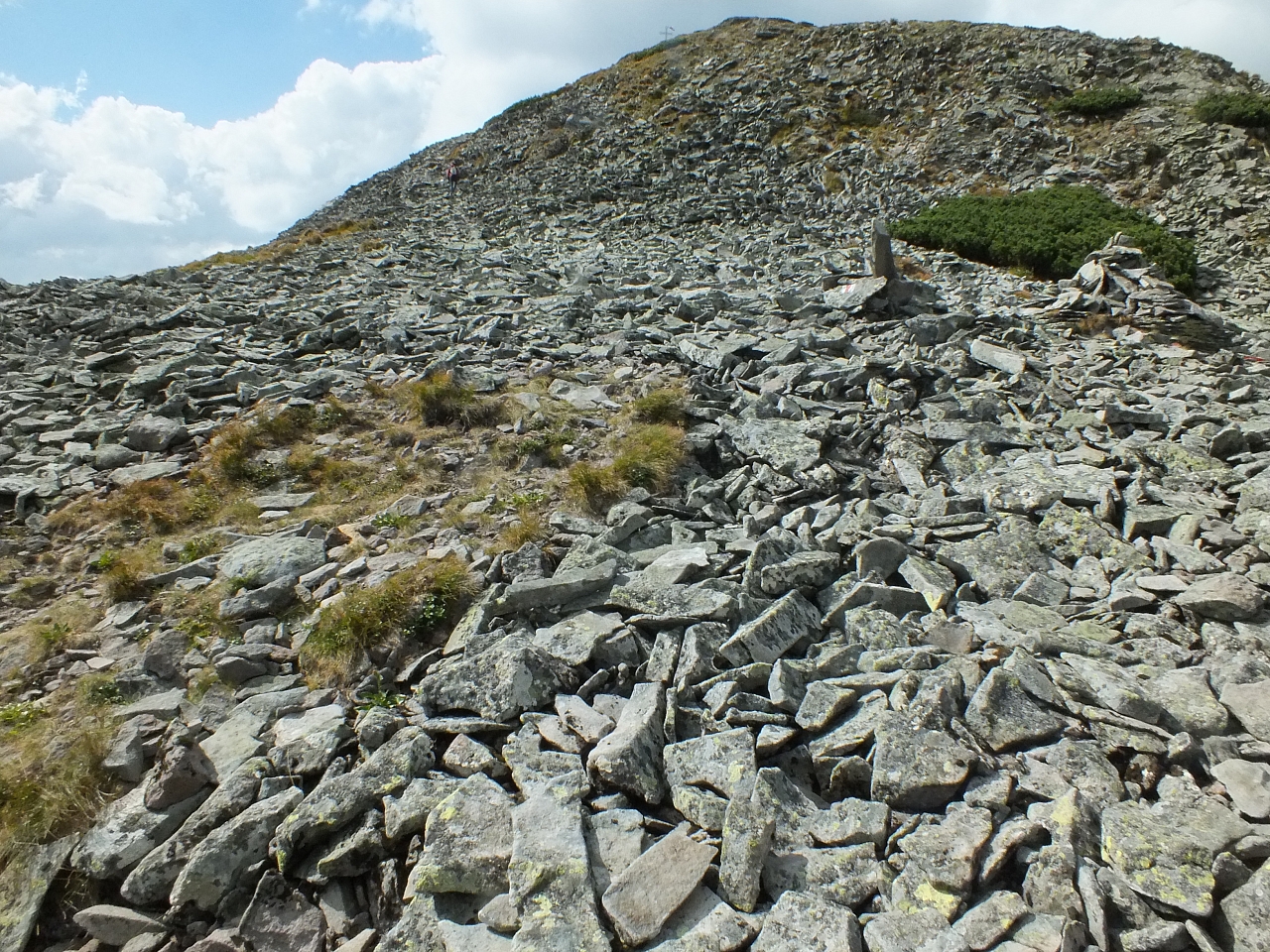 &copy; R.Thiel
11.08.2012 16:11:58
11.08.2012
Rumänien 2012
Rumänienfotos