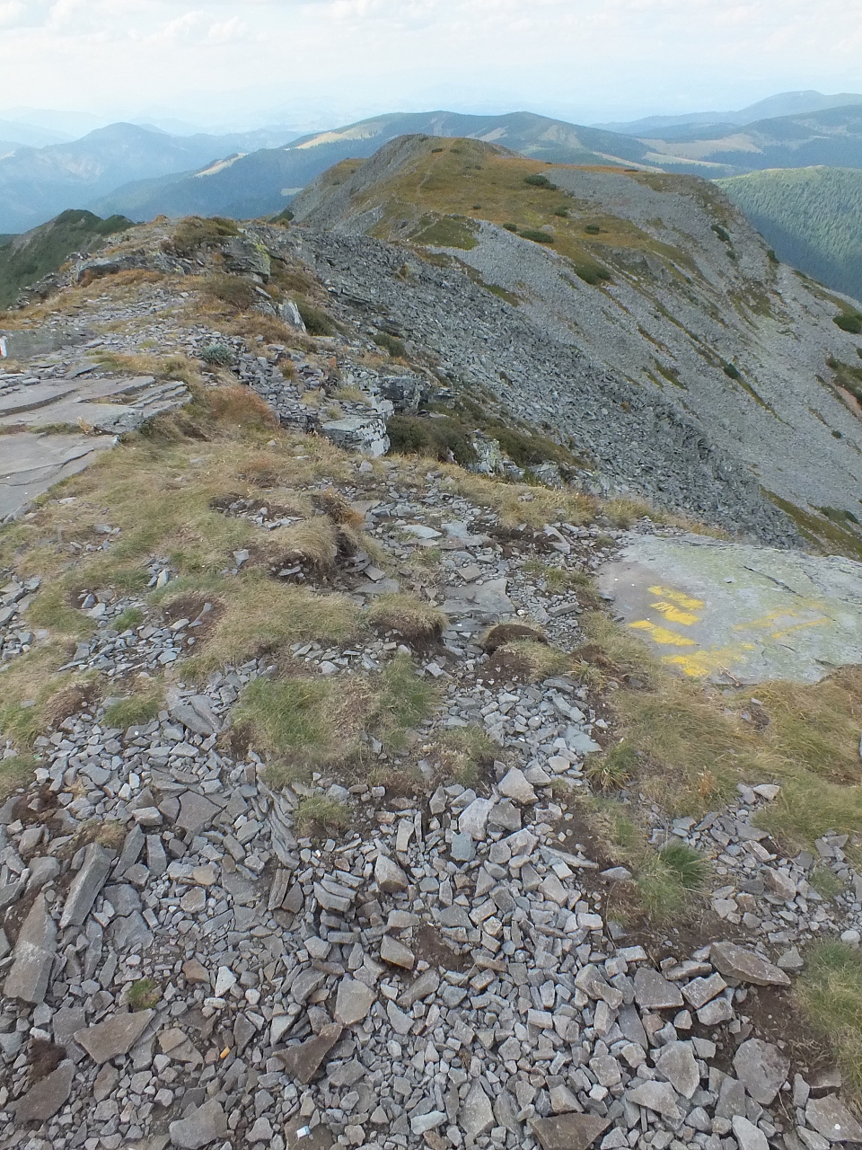 &copy; R.Thiel
11.08.2012 16:20:56
11.08.2012
Rumänien 2012
Rumänienfotos