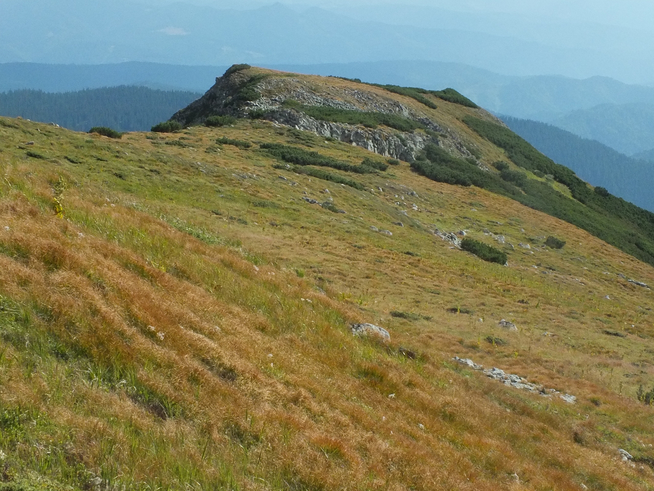 &copy; R.Thiel
11.08.2012 16:56:07
11.08.2012
Rumänien 2012
Rumänienfotos