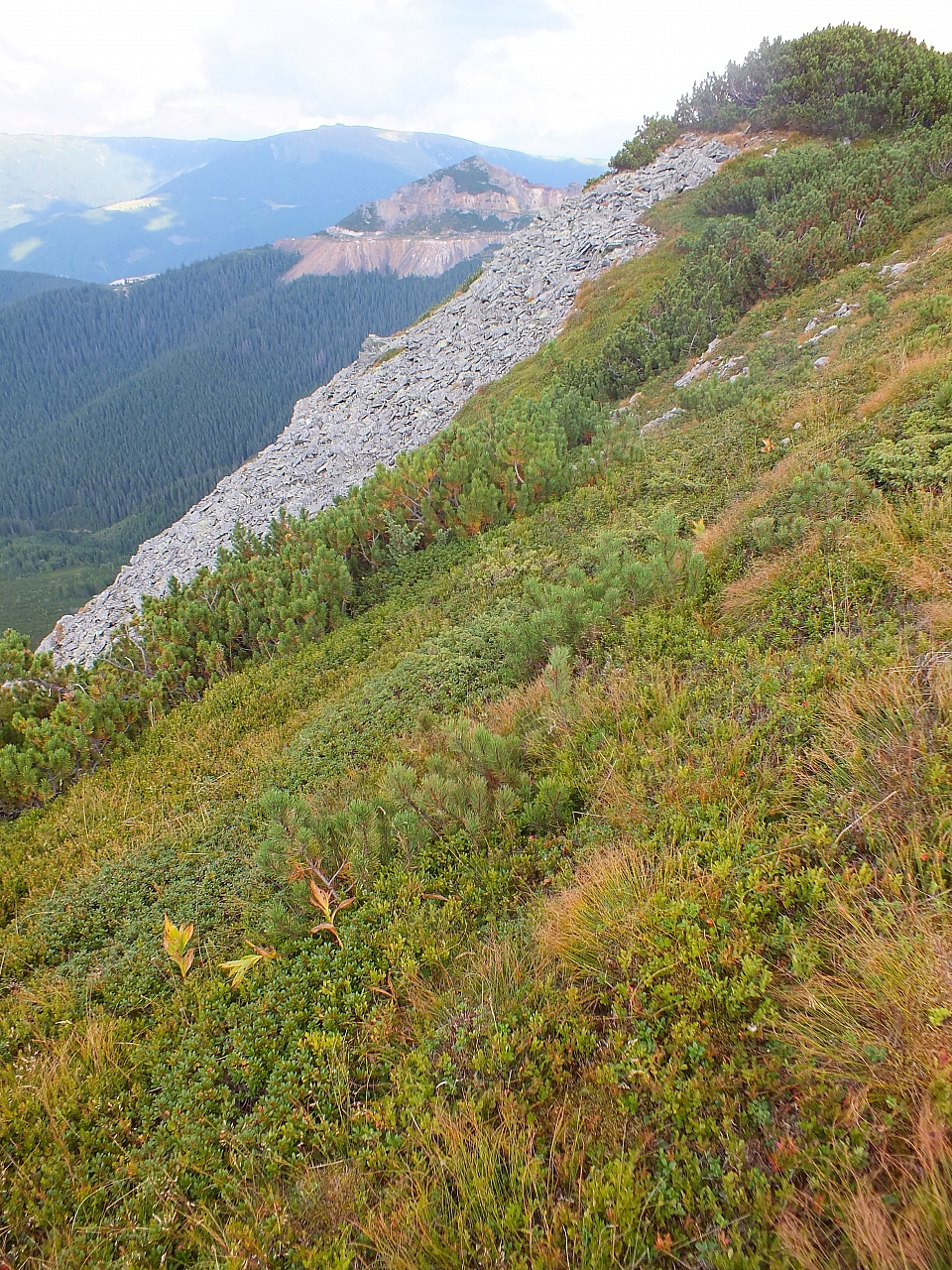 &copy; R.Thiel
11.08.2012 17:22:25
11.08.2012
Rumänien 2012
Rumänienfotos