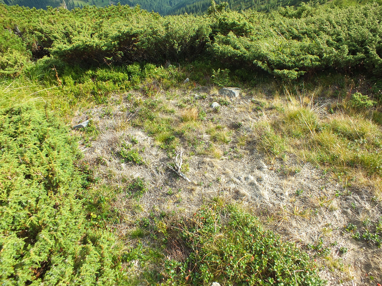 &copy; R.Thiel
11.08.2012 17:24:23
11.08.2012
Rumänien 2012
Rumänienfotos