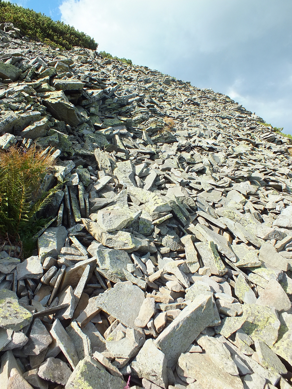 &copy; R.Thiel
11.08.2012 17:28:26
11.08.2012
Rumänien 2012
Rumänienfotos