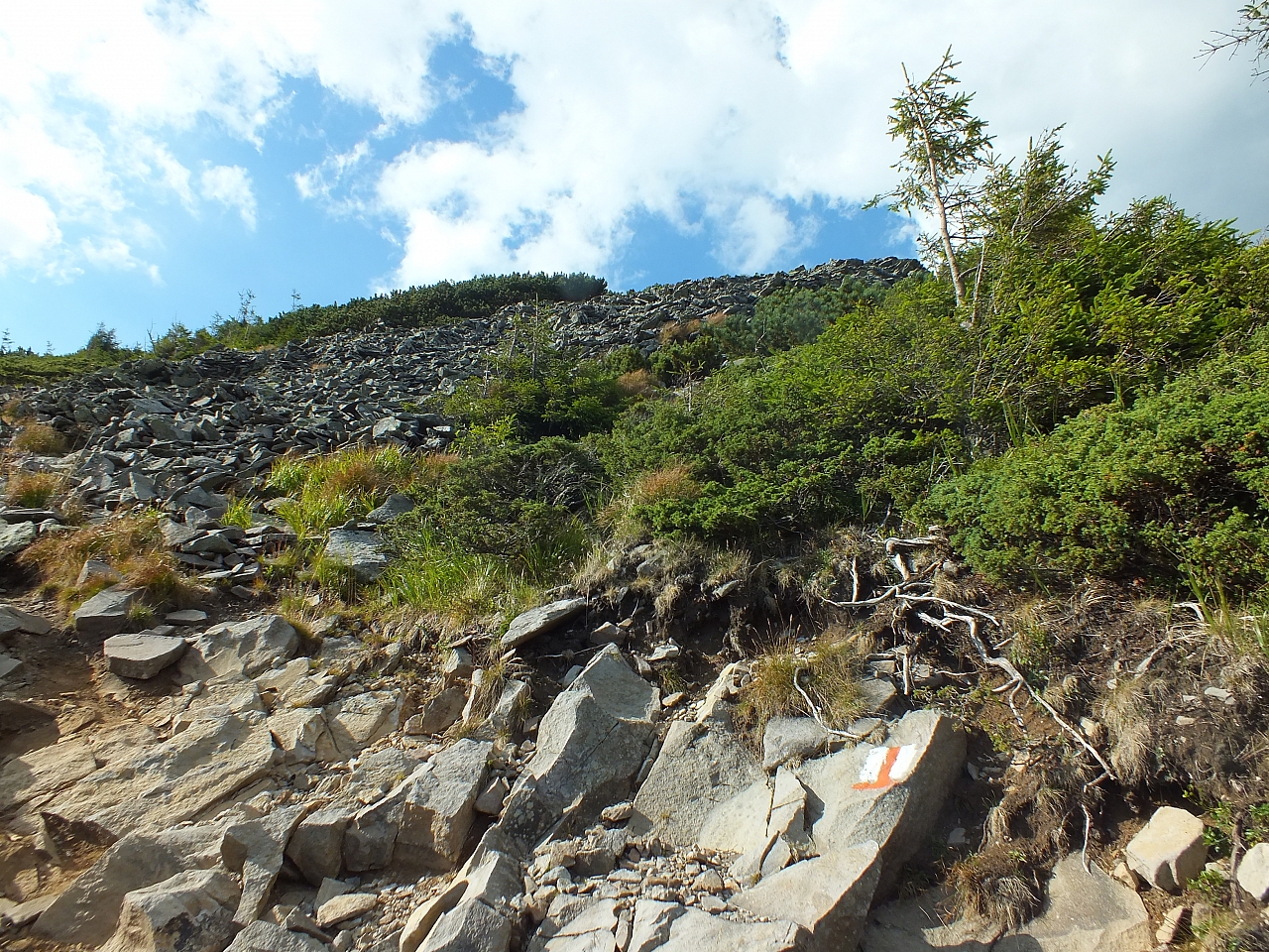 &copy; R.Thiel
11.08.2012 17:29:19
11.08.2012
Rumänien 2012
Rumänienfotos