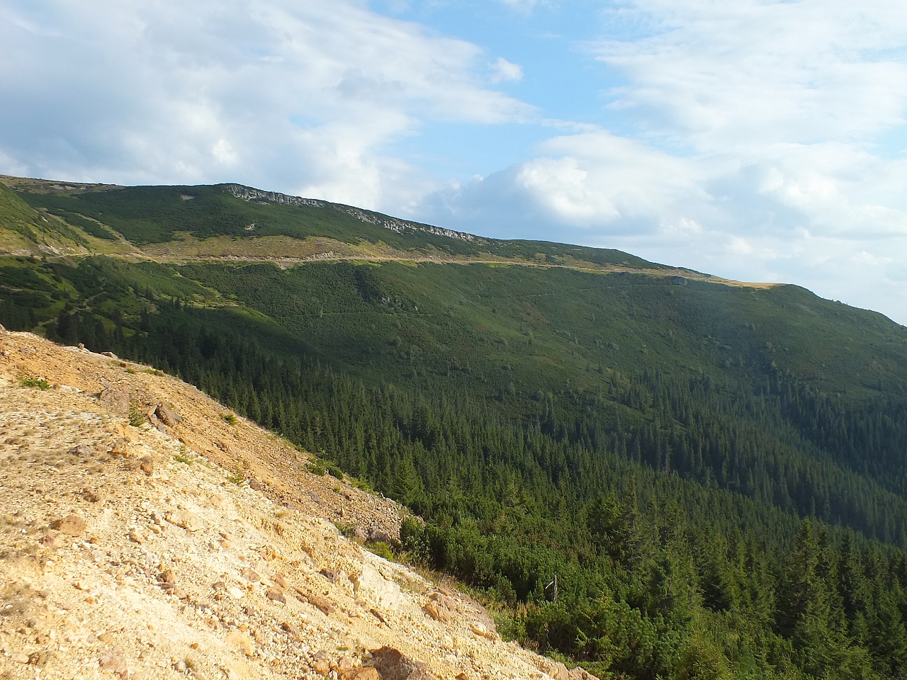 &copy; R.Thiel
11.08.2012 18:09:40
11.08.2012
Rumänien 2012
Rumänienfotos