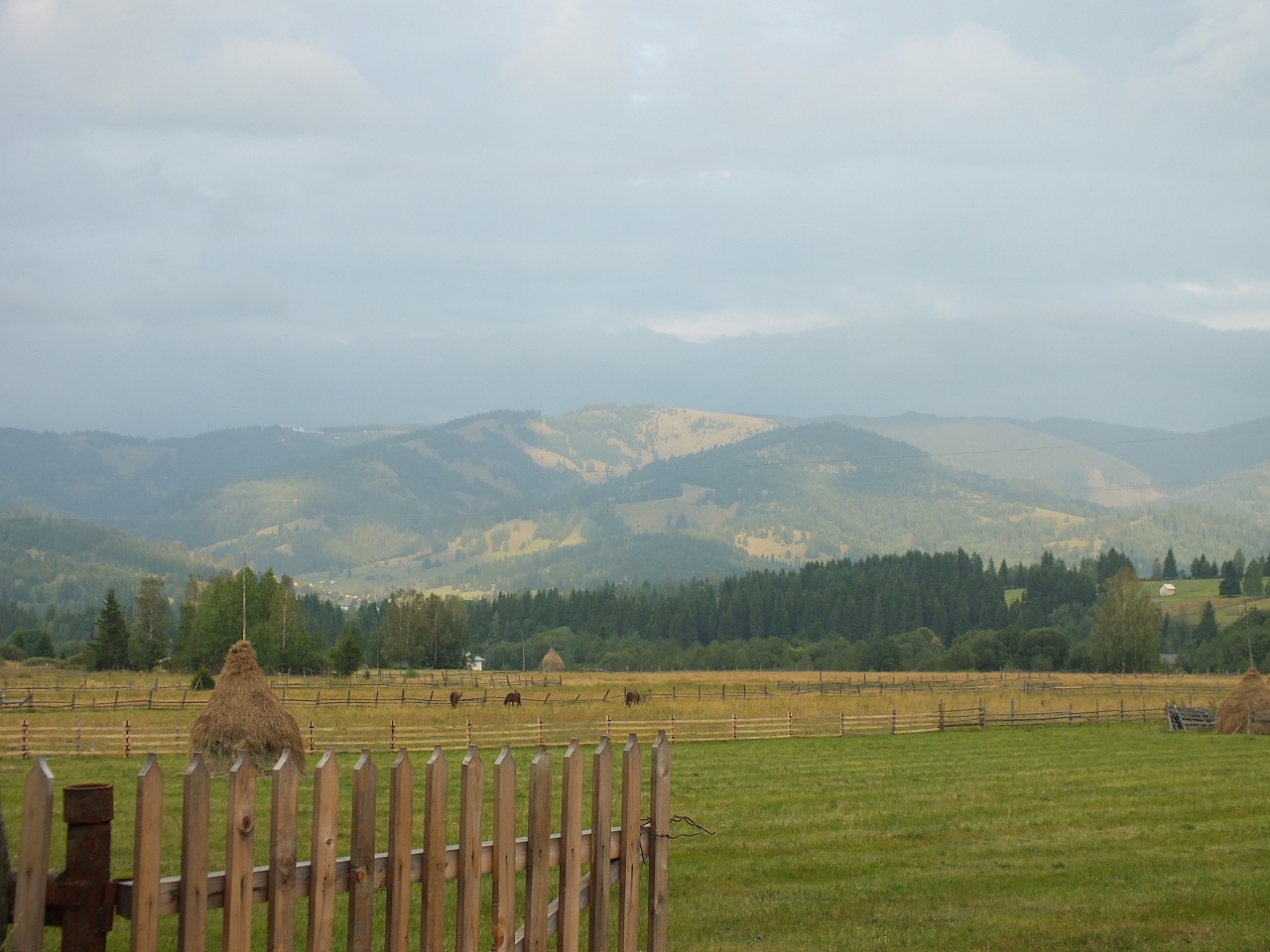 &copy; R.Thiel
11.08.2012 19:18:37
11.08.2012
Rumänien 2012
Rumänienfotos