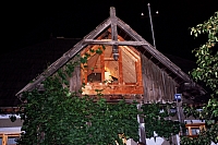 Barnar (loc. Holda, oraş Broşteni, jud. Suceava)
August 2002
1_Barnar