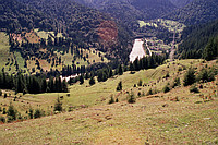 Holda von oben
August 2002
Rumänienfotos