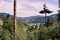 Holda von oben
August 2002
Rumänienfotos