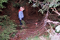 Die Kinder
August 2002
Rumänienfotos