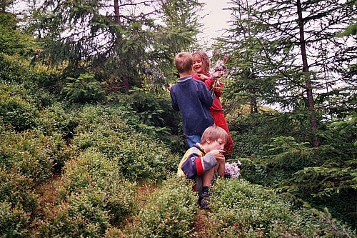 &copy; R.Thiel
Die Kinder
August 2002
Rumänienfotos