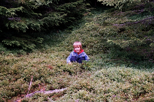 &copy; R.Thiel
Die Kinder
August 2002
Rumänienfotos