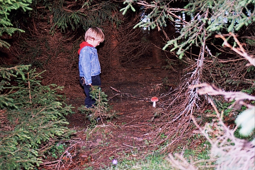 &copy; R.Thiel
Die Kinder
August 2002
Rumänienfotos