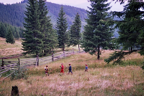 &copy; R.Thiel
Die Kinder
August 2002
Rumänienfotos