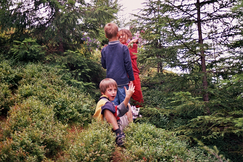 &copy; R.Thiel
Die Kinder
August 2002
Rumänienfotos