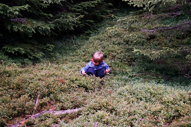 &copy; R.Thiel
Die Kinder
August 2002
Rumänienfotos