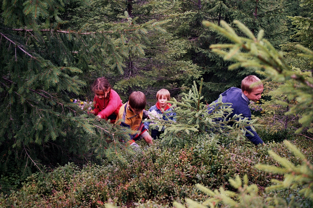 &copy; R.Thiel
Die Kinder
August 2002
Rumänienfotos