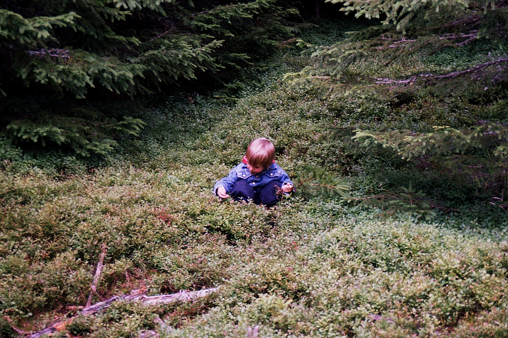 &copy; R.Thiel
Die Kinder
August 2002
Rumänienfotos