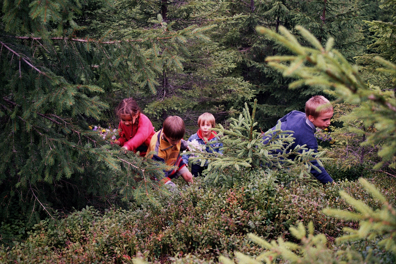 &copy; R.Thiel
Die Kinder
August 2002
Rumänienfotos