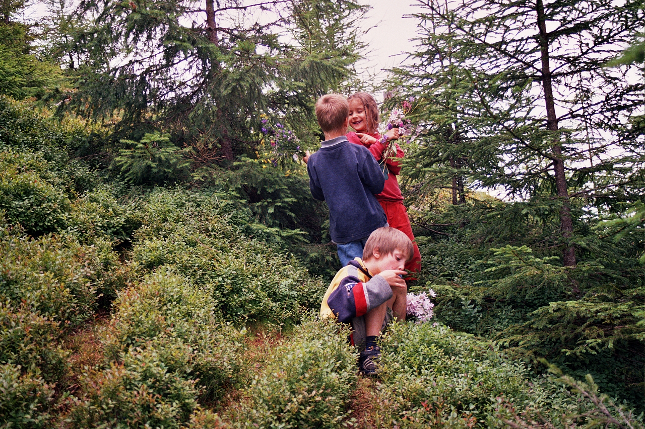 &copy; R.Thiel
Die Kinder
August 2002
Rumänienfotos