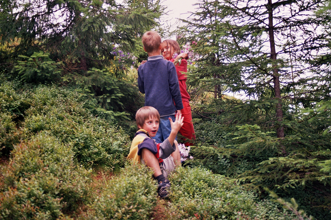 &copy; R.Thiel
Die Kinder
August 2002
Rumänienfotos