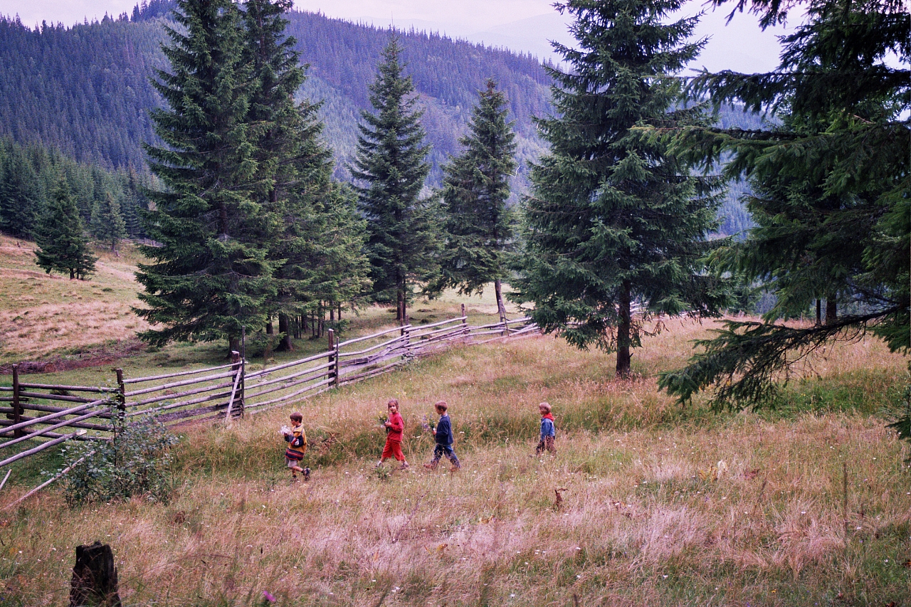 &copy; R.Thiel
Die Kinder
August 2002
Rumänienfotos