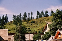 Broşteni
August 2002
Rumänienfotos