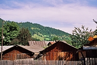 Broşteni
August 2002
Rumänienfotos