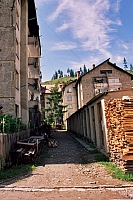 Broşteni
August 2002
Rumänienfotos