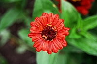 Impressionen aus den Bistritz-Bergen
August 2002
Rumänienfotos