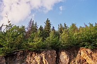 Impressionen aus den Bistritz-Bergen
August 2002
Rumänienfotos