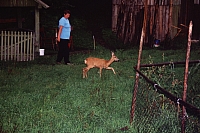 Impressionen aus den Bistritz-Bergen
August 2002
Rumänienfotos