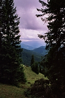 Impressionen aus den Bistritz-Bergen
August 2002
Rumänienfotos