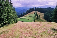 Impressionen aus den Bistritz-Bergen
August 2002
Rumänienfotos