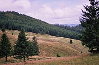 Impressionen aus den Bistritz-Bergen
August 2002
Rumänienfotos