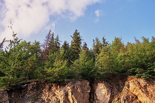 &copy; R.Thiel
Impressionen aus den Bistritz-Bergen
August 2002
Rumänienfotos