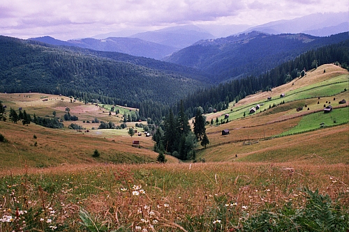 &copy; R.Thiel
Impressionen aus den Bistritz-Bergen
August 2002
Rumänienfotos