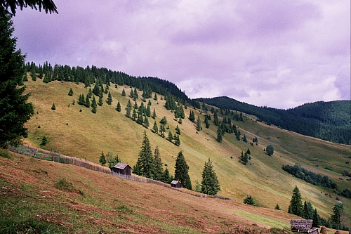 &copy; R.Thiel
Impressionen aus den Bistritz-Bergen
August 2002
Rumänienfotos