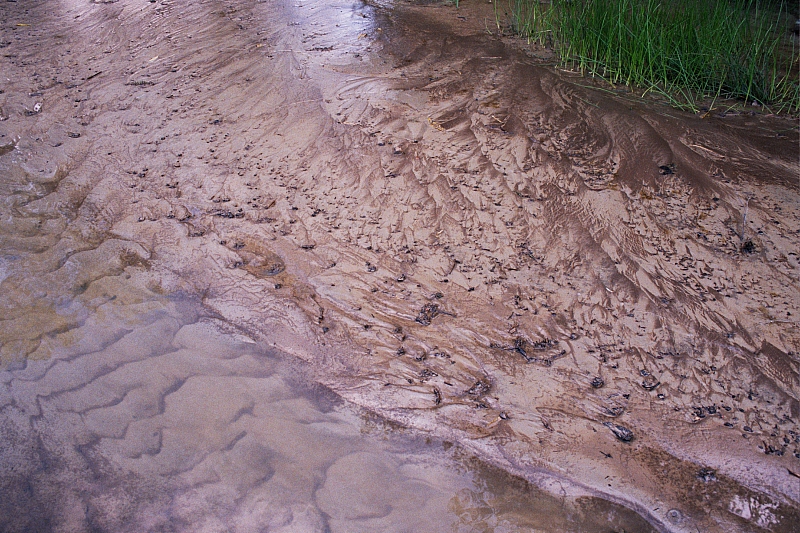 &copy; R.Thiel
Impressionen aus den Bistritz-Bergen
August 2002
Rumänienfotos