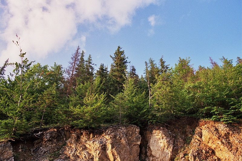 &copy; R.Thiel
Impressionen aus den Bistritz-Bergen
August 2002
Rumänienfotos