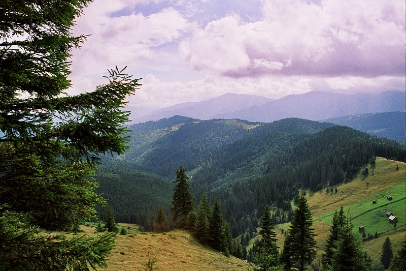 &copy; R.Thiel
Impressionen aus den Bistritz-Bergen
August 2002
Rumänienfotos