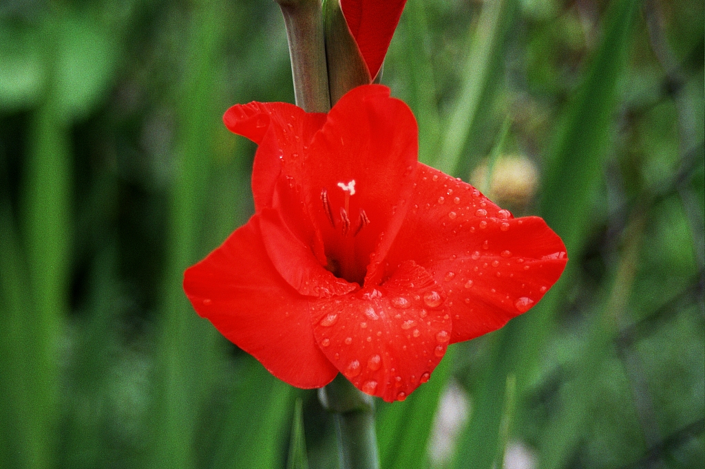 &copy; R.Thiel
Impressionen aus den Bistritz-Bergen
August 2002
Rumänienfotos