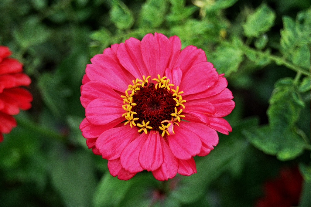 &copy; R.Thiel
Impressionen aus den Bistritz-Bergen
August 2002
Rumänienfotos