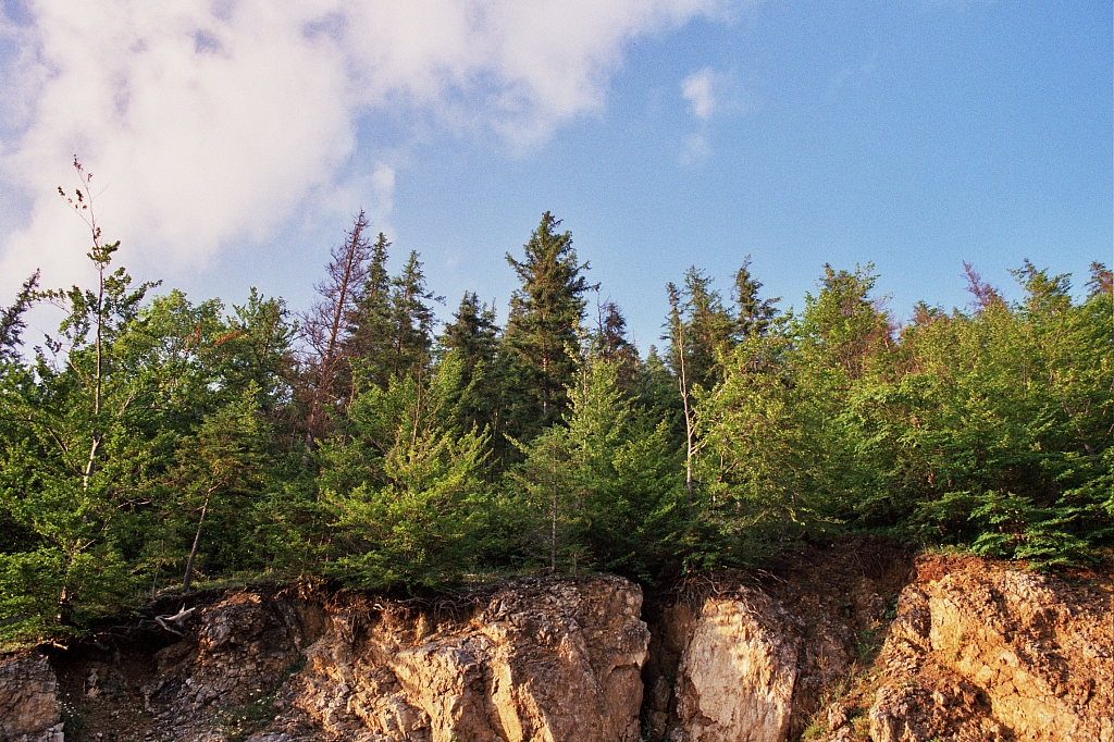 &copy; R.Thiel
Impressionen aus den Bistritz-Bergen
August 2002
Rumänienfotos