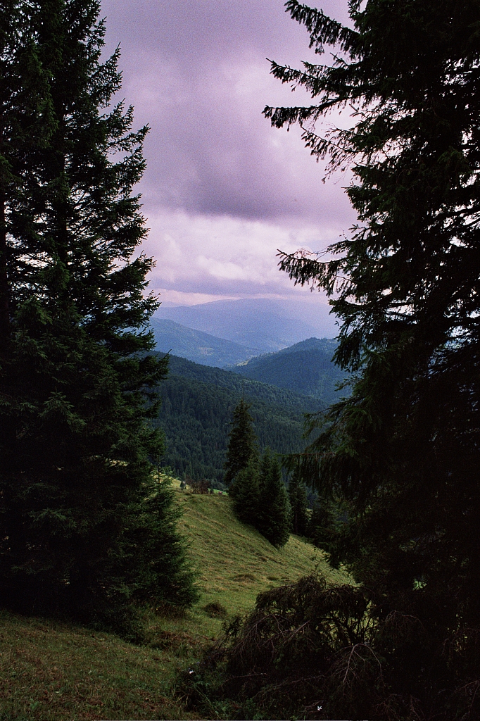 &copy; R.Thiel
Impressionen aus den Bistritz-Bergen
August 2002
Rumänienfotos