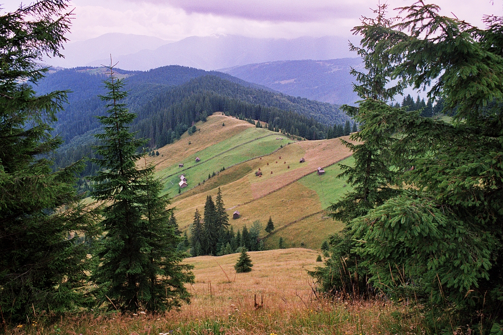 &copy; R.Thiel
Impressionen aus den Bistritz-Bergen
August 2002
Rumänienfotos