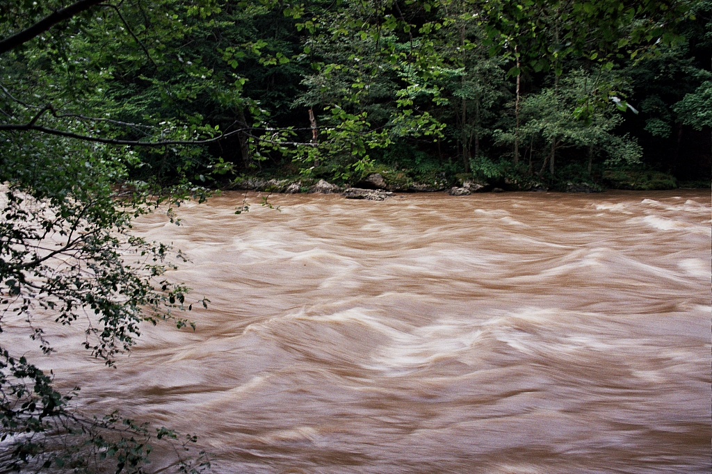&copy; R.Thiel
Impressionen aus den Bistritz-Bergen
August 2002
Rumänienfotos