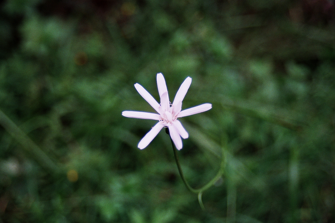 &copy; R.Thiel
Impressionen aus den Bistritz-Bergen
August 2002
Rumänienfotos