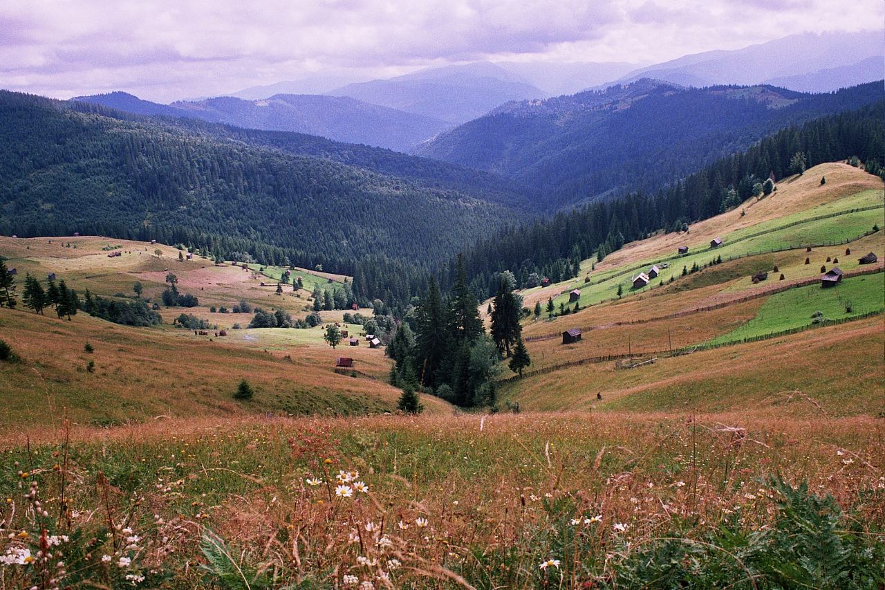 &copy; R.Thiel
Impressionen aus den Bistritz-Bergen
August 2002
Rumänienfotos