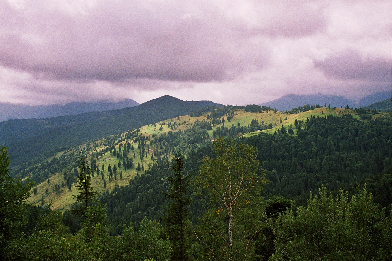 &copy; R.Thiel
Impressionen aus den Bistritz-Bergen
August 2002
Rumänienfotos